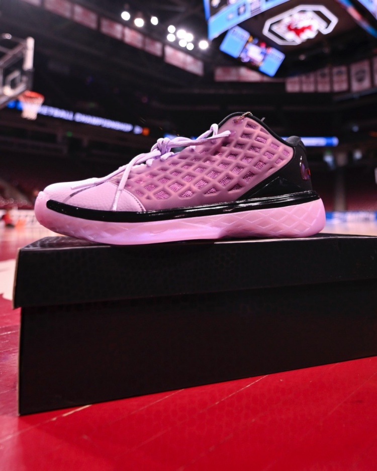 开云APP-球员真幸福!南加大女篮晒出的各种专属PE球鞋和特别鞋款!